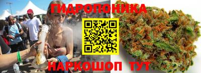 кокс Шелехов
