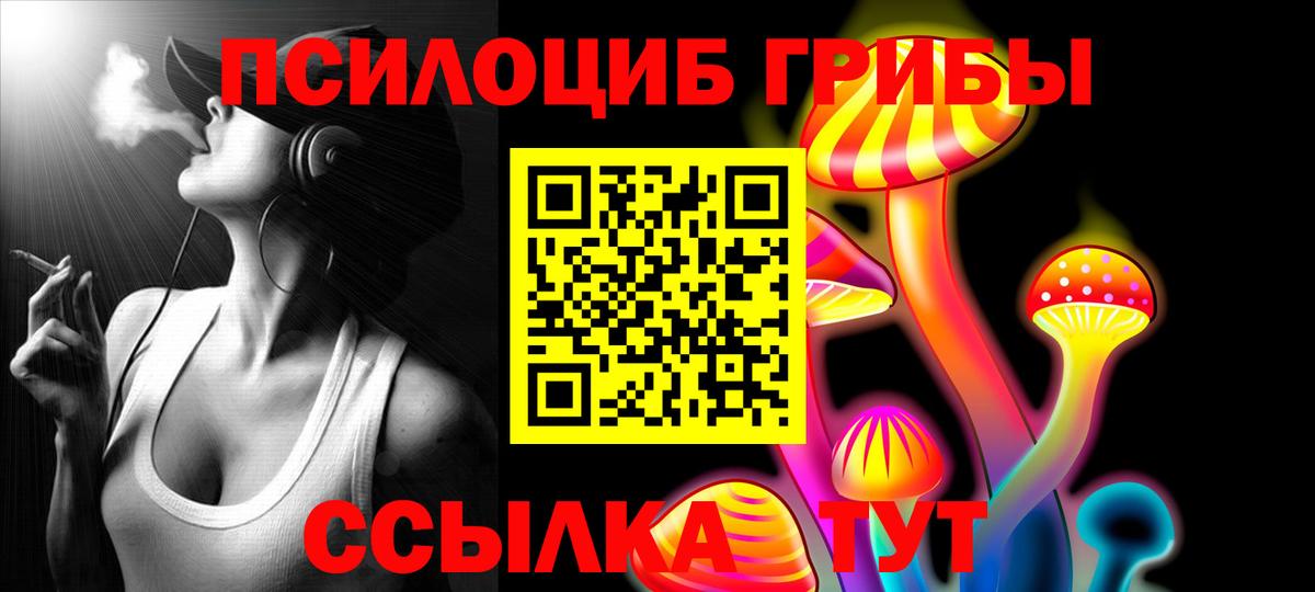 Псилоцибиновые грибы Magic Shrooms  Вход с VPN  Гатчина 