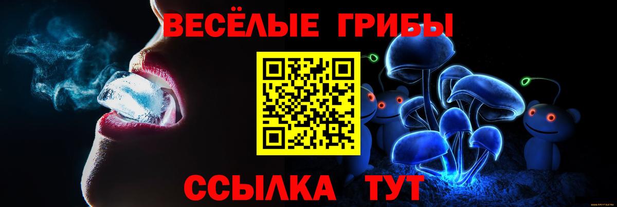 Псилоцибиновые грибы мухоморы Гатчина